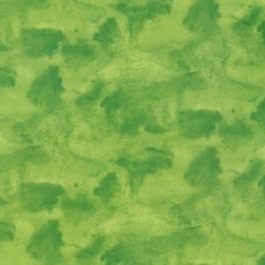 A to Z Animals Green Stain