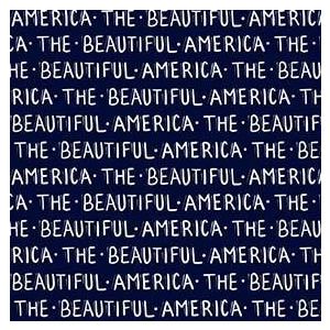 All American America The Beautiful in Navy