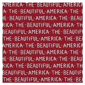 All American America The Beautiful in Red
