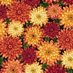 Autumn Album Black Harvest Flowers