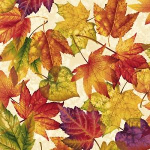 Autumn Album Cream Leaves