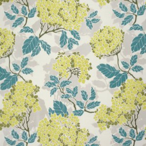 Birch Farm Hydrangea in Sage