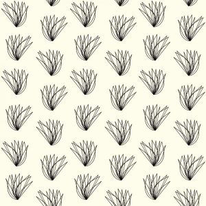 Bird Architects Wings in Cream 