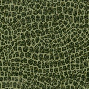 Dinosaur Trails Dino Scales in Green