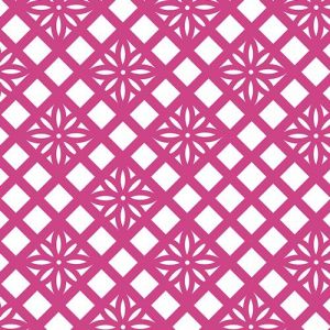 Fiesta Fun Zocalo in Raspberry