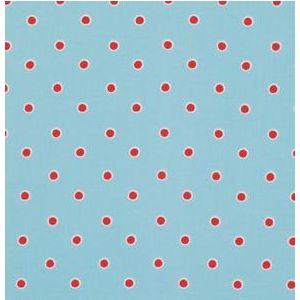 Fox Playground Dots in Aqua