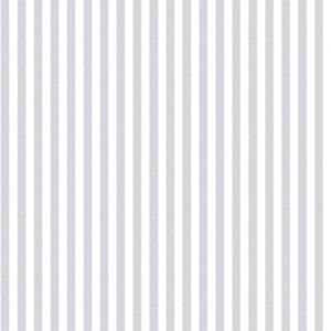 Glimmering Silver Stripes