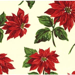 Happy Holly-Days Cream Poinsettias in Snow