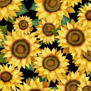 Hello Sunshine Sunflowers in Black