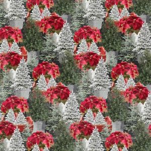 Holiday Homestead Multicolor Poinsettias