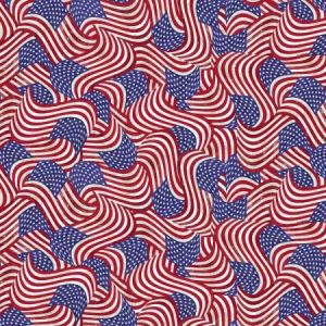 Home Of The Brave Flags Multi