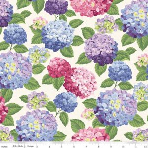 Hydrangeas in the Garden Blooms in Multi