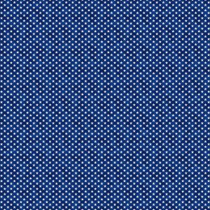 Liberty Ride 2 Stars on Blue