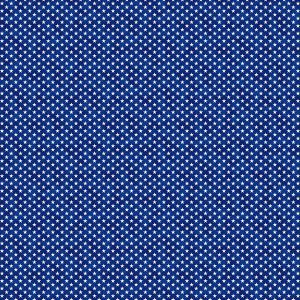 Liberty Ride Stars in Blue