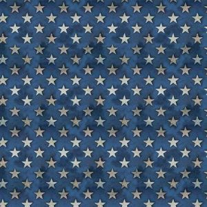 Live to Ride Stars in Blue