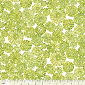 Mermaid Days Urchin in Green