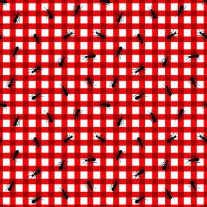 My Happy Place Ants on Gingham in White