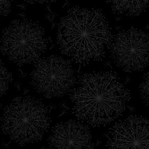 Night  Day 2 Dandelion in Black