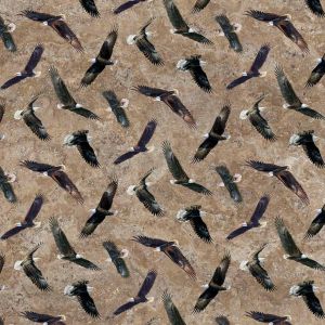 On Freedom's Wing Brown Eagles