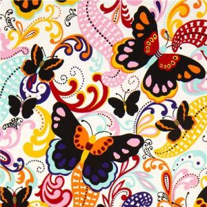Papillon Butterflies in Brite