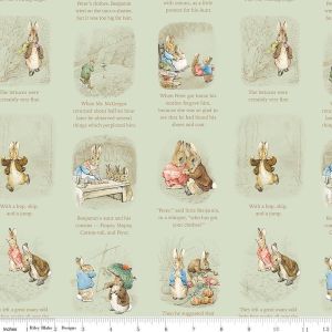 Peter Rabbit  Benjamin Bunny Story Time in Green
