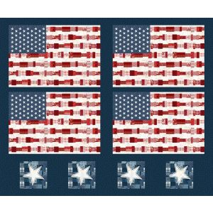 Pieces of America Placemats Panel