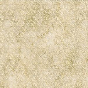 Prehistoric World Dinosaur Tracks in Beige