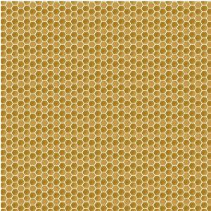 Royal Jelly Honeycomb in Honey