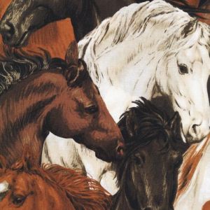 Run Free Brown Horses