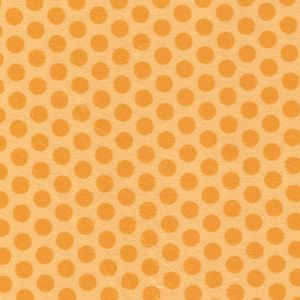 Safari  Jeep Minky 2 Tone Dots in Orange