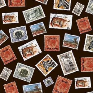 Safari Safari Mail in Chocolate