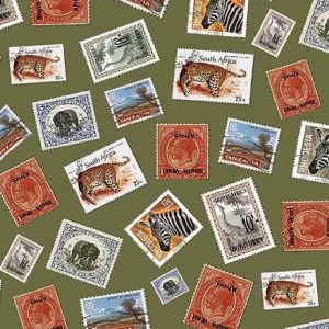 Safari Safari Mail in Olive