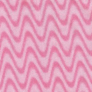 Snapshot Waves in Slipper