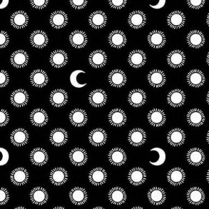 Starry Night Night and Day in Black