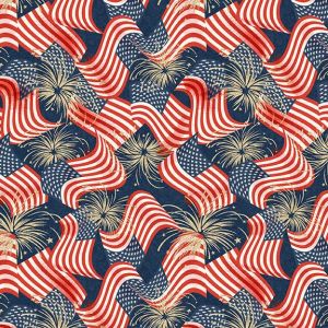 Stripes & Stars Flags & Fireworks in Navy