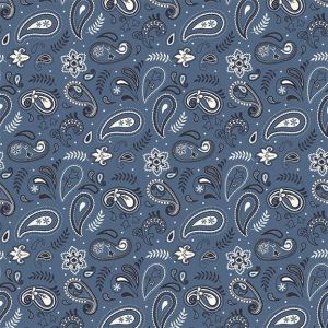 Stripes  Stars Paisley in Blue