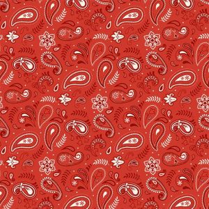 Stripes  Stars Paisley in Red