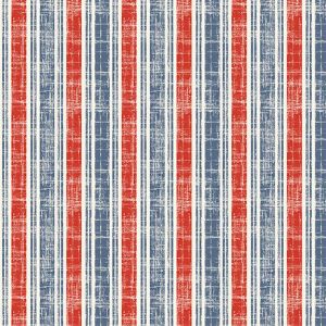 Stripes  Stars Stripe in Multi
