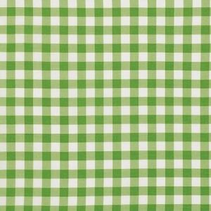 Sweet Lady Jane Garden Gingham in the color Green