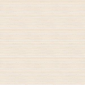 Tails  Whiskers Cat Ear Lines in White