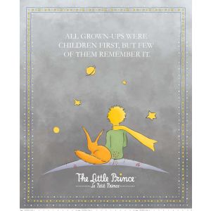 The Little Prince Gray Panel