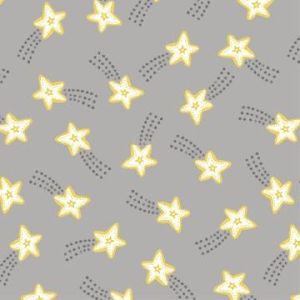 To The Moon And Back Twinkle Twinkle in Grays