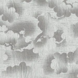 Tomorrow Morning Clouds in Taupe