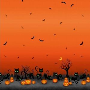 Trick Or Treat Midnight Mischief in Oranges