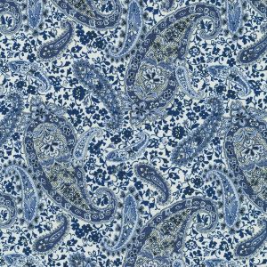 Vintage Petals  Paisleys Paisley in Natural Blue