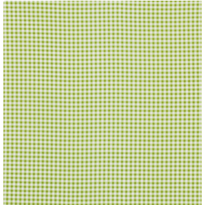 Wishing Well Gingham in Green