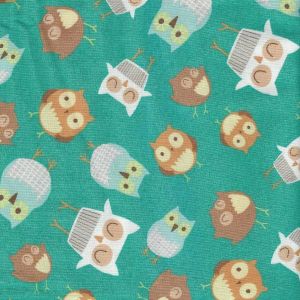Wonderful Woodlands Owls in Teal