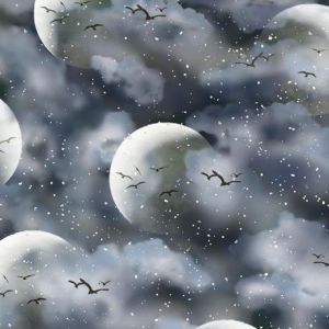 Arctic Dreams Birds Against The Moon in Blues