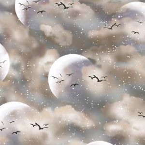 Arctic Dreams Birds Against The Moon in Pinks