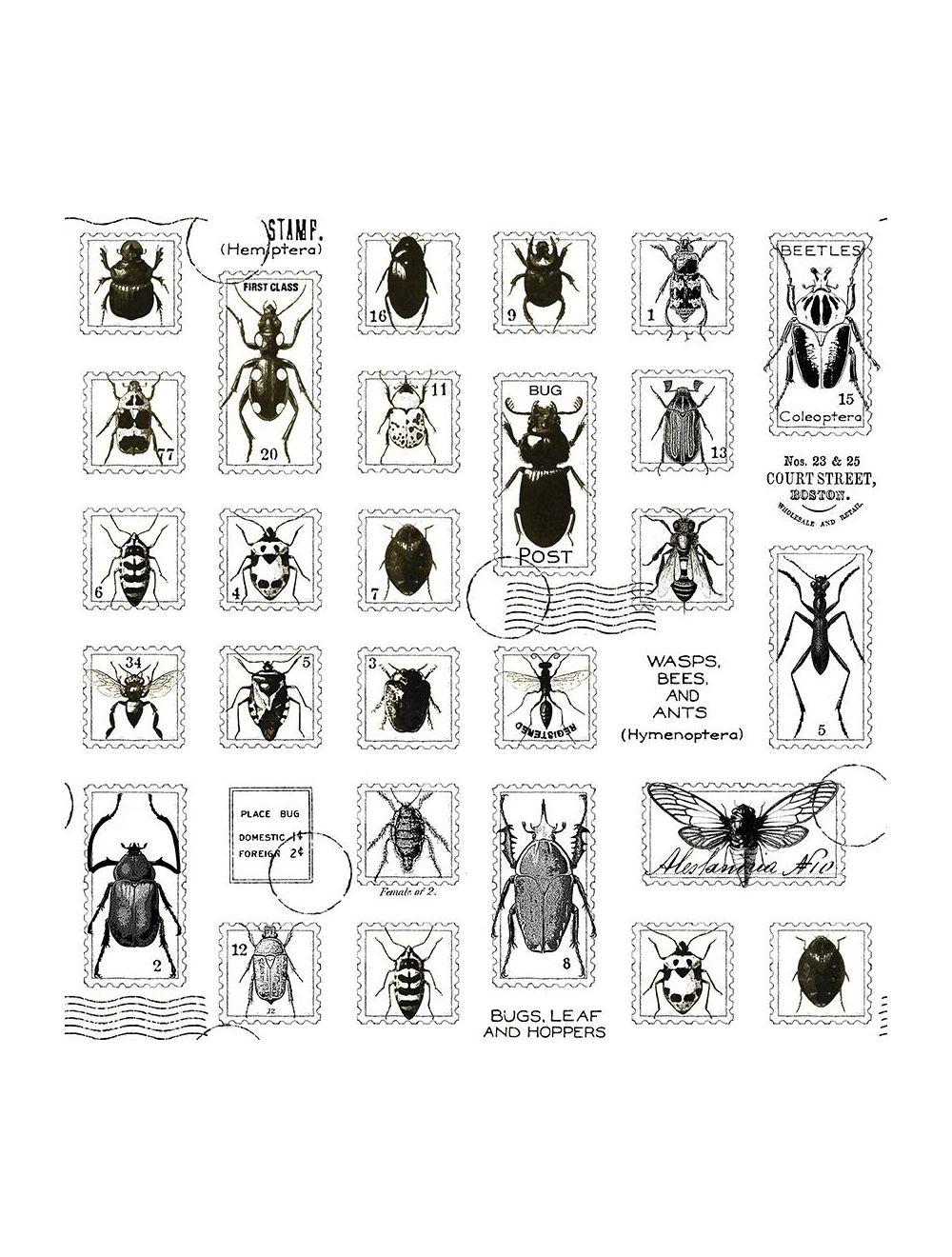 Ed Riley Insect Collection Riley Blake | J Wecker Frisch | Art Journal | Bug Post in White